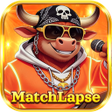 Icon of program: MatchLapse