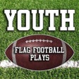 Icon of program: Youth Flag Football Plays