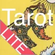 Icon of program: Tarot Card Reader Lite