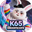 Icon of program: K65 Bloomcore