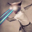 Icon of program: With Lasers - Add cool 'W…