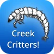 Icon of program: Creek Critters