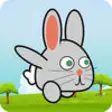 Icon of program: Hoppy Bunny - Journey of …