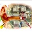 Icon of program: Digital Ear