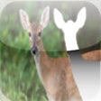 Icon of program: Sketch & Paint