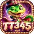 Icono de programa: TT345Meld