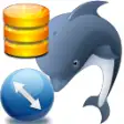 Icon of program: MySQL MS SQL Server Impor…