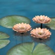 Icon of program: Aqua Chimes Musical Water…