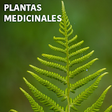 Icono de programa: Curarse con plantas medic…