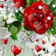 Icono de programa: Beautiful Roses and Flowe…