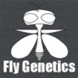 Icon of program: FlyGenetics