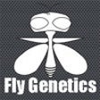 Icon of program: FlyGenetics