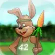 Icon of program: Rabbit Sports
