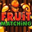 Icon of program: Fruit Matching