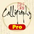 Icon of program: Calligraphy Pro