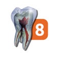 Icon of program: Tooth Atlas 8