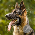 Icon of program: German Shepherd Lock Scre…