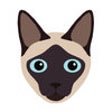 Icon of program: Catmoji - Cat Sticker Emo…