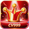 Icono de programa: CV999Loop Burst