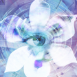 Icono de programa: Blue Iris