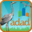 Icon of program: Birding Aljarafe-Doana