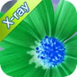 Icon of program: XRay Agent