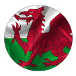Icono de programa: Wales Institute App