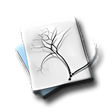 Icon of program: Context Free
