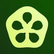 Icon of program: eatOkra | Find black-owne…
