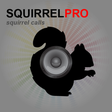Icon of program: REAL Squirrel Calls and S…