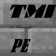 Icon of program: TooManyItems PE