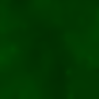 Icon of program: Infected Screen Saver