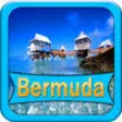 Icon of program: Bermuda Offline Explorer