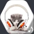 Icon of program: Cat Sounds and Ringtones