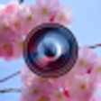 Haru Camera icon