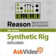 Icon of program: Synthetic Rig Explored - …