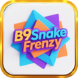 Icon of program: B9Snake Frenzy