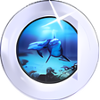 Icon of program: System & Internet Washer