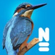 Icon of program: Vogels van Europa