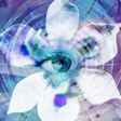 Icon of program: Blue Iris