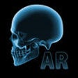 Icon of program: Human Anatomy Chart by Po…