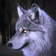 Icon of program: Wildlife Artic Wolf Game …