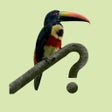 Icon of program: Costa Rica Birds Field Gu…