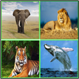 Icon of program: Animal Sounds