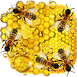 Icono de programa: Honey and Bee live wallpa…