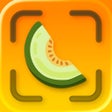 Icono de programa: Honeydew: Capture Recipes