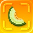 Icono de programa: Honeydew: Capture Recipes