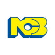 Icon of program: NCB Mobile