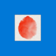 Icon of program: Expresii for Windows 10