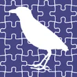 Icon of program: Birds of the Southeastern…